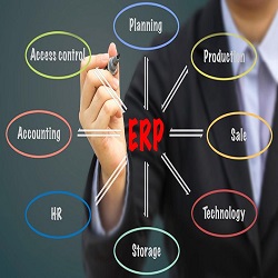 ERP System Development